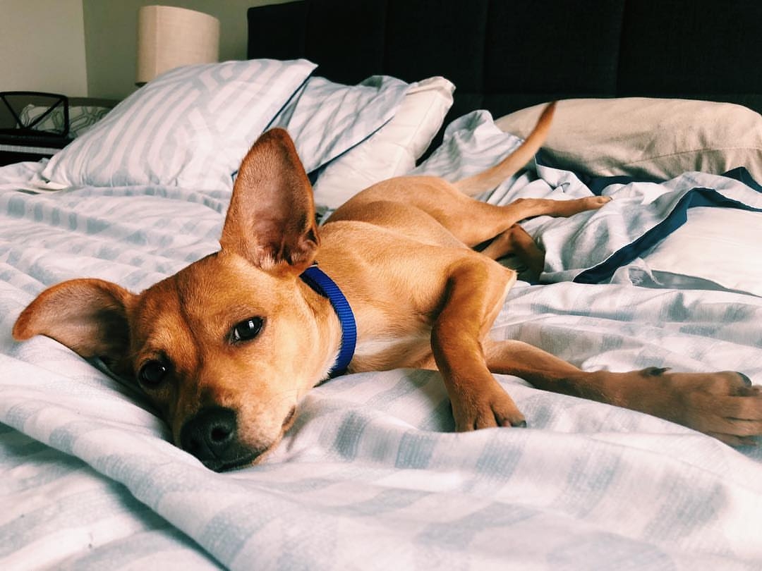 Profiles of a pioneer image